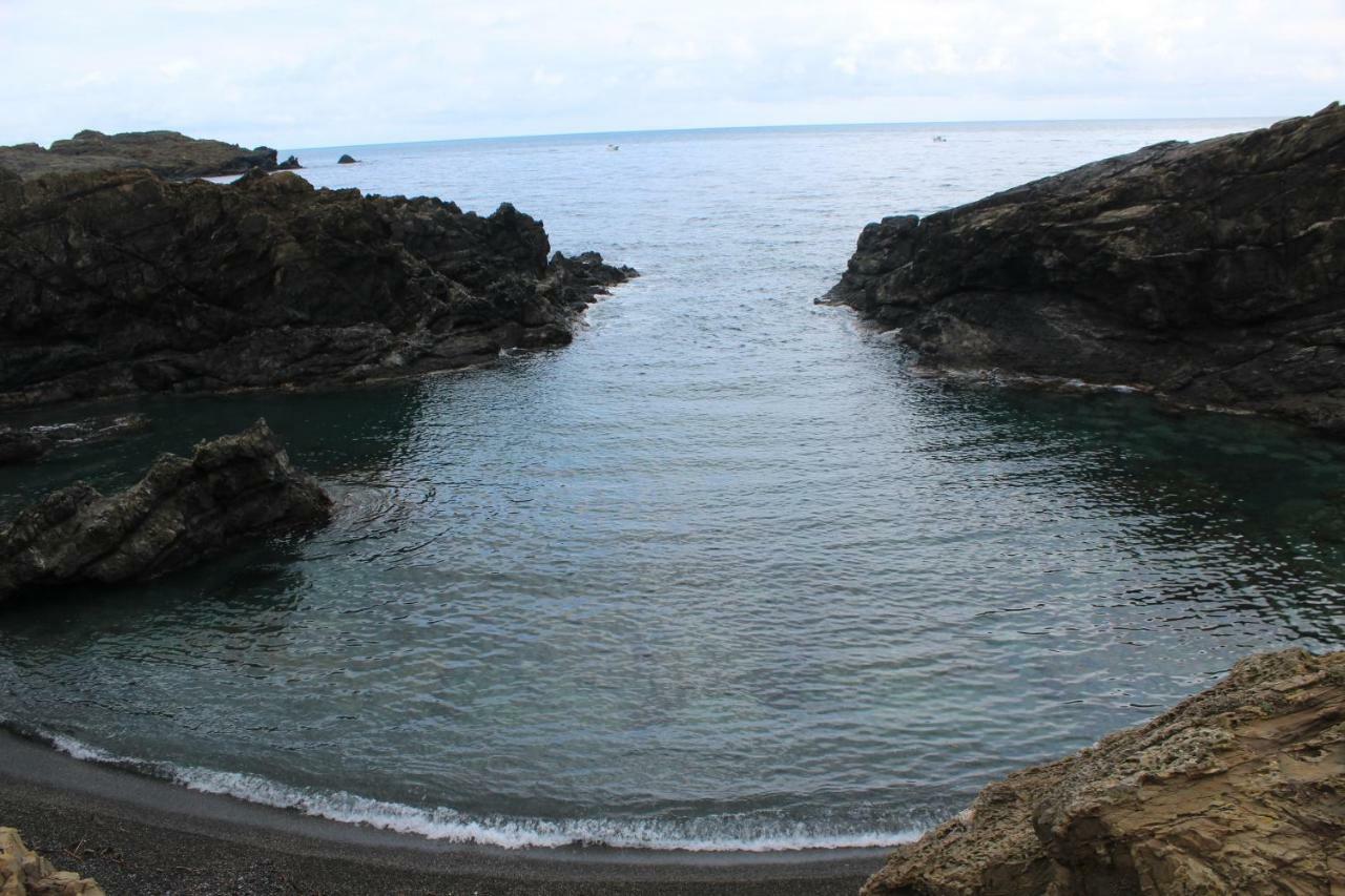 Apartament Vistes Al Mar Llanca Bagian luar foto