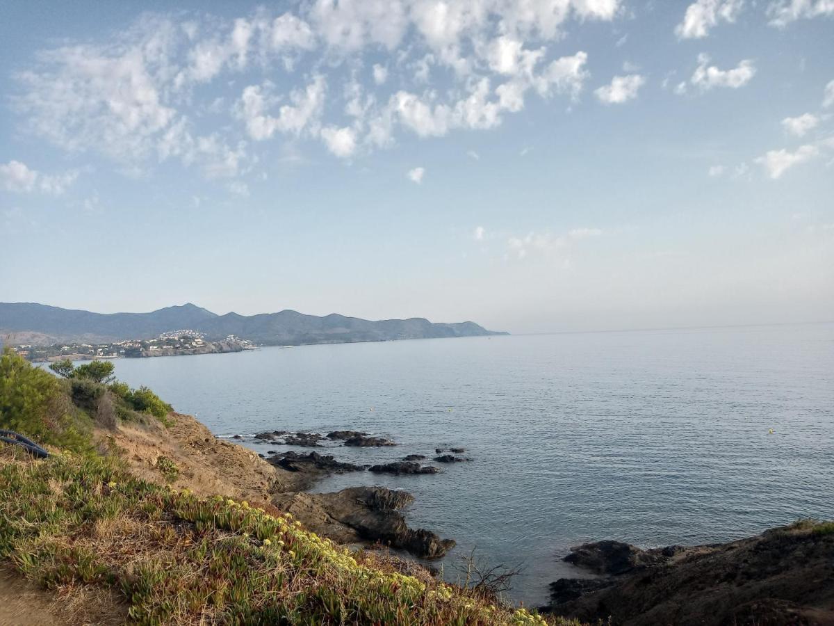 Apartament Vistes Al Mar Llanca Bagian luar foto